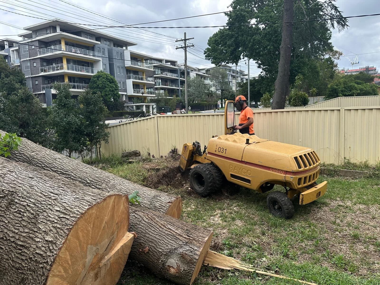 Operator guiding a stump grinder over a wide tree stump in a Sydney backyard