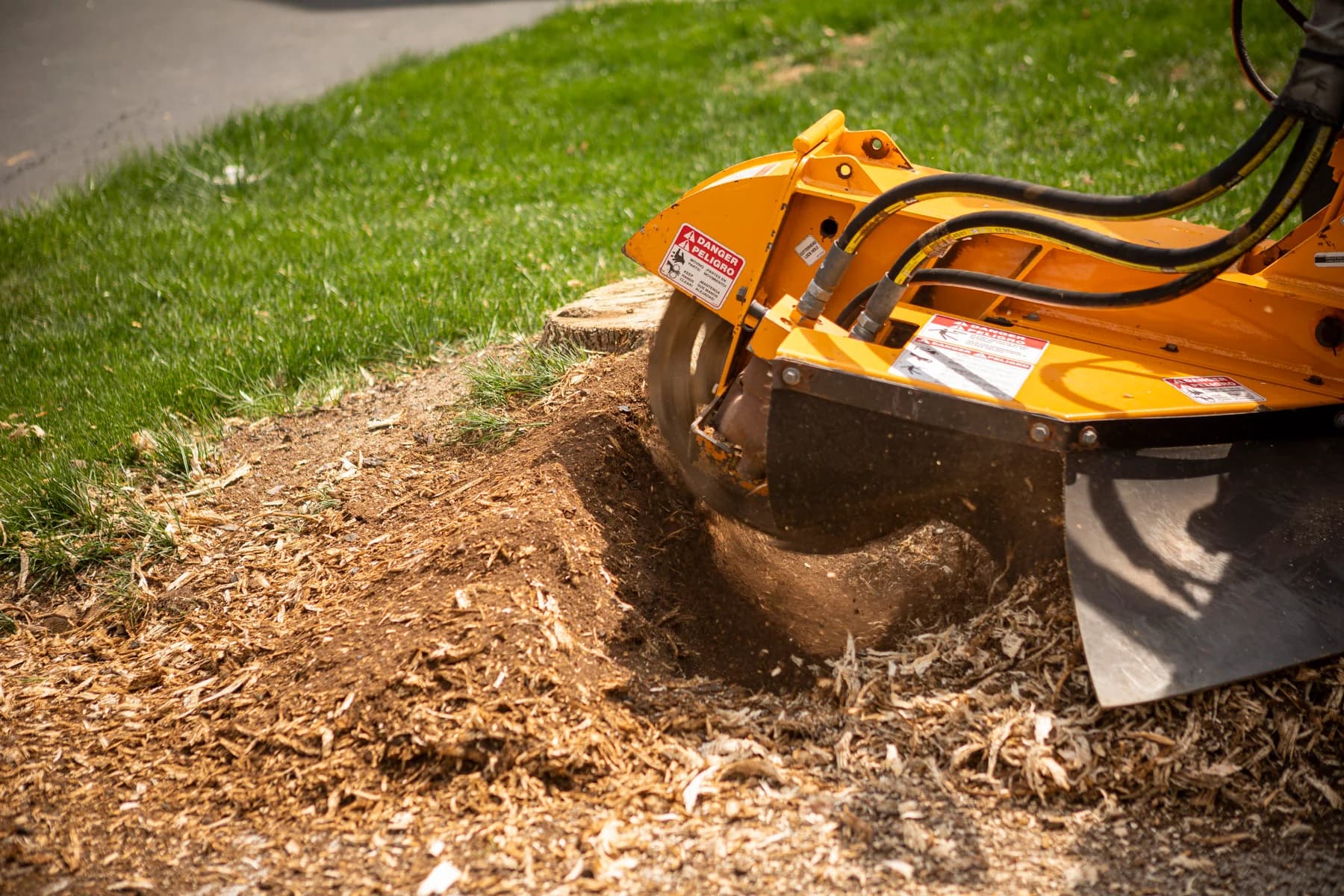 Stump grinder cutting into wood beside a lawn.