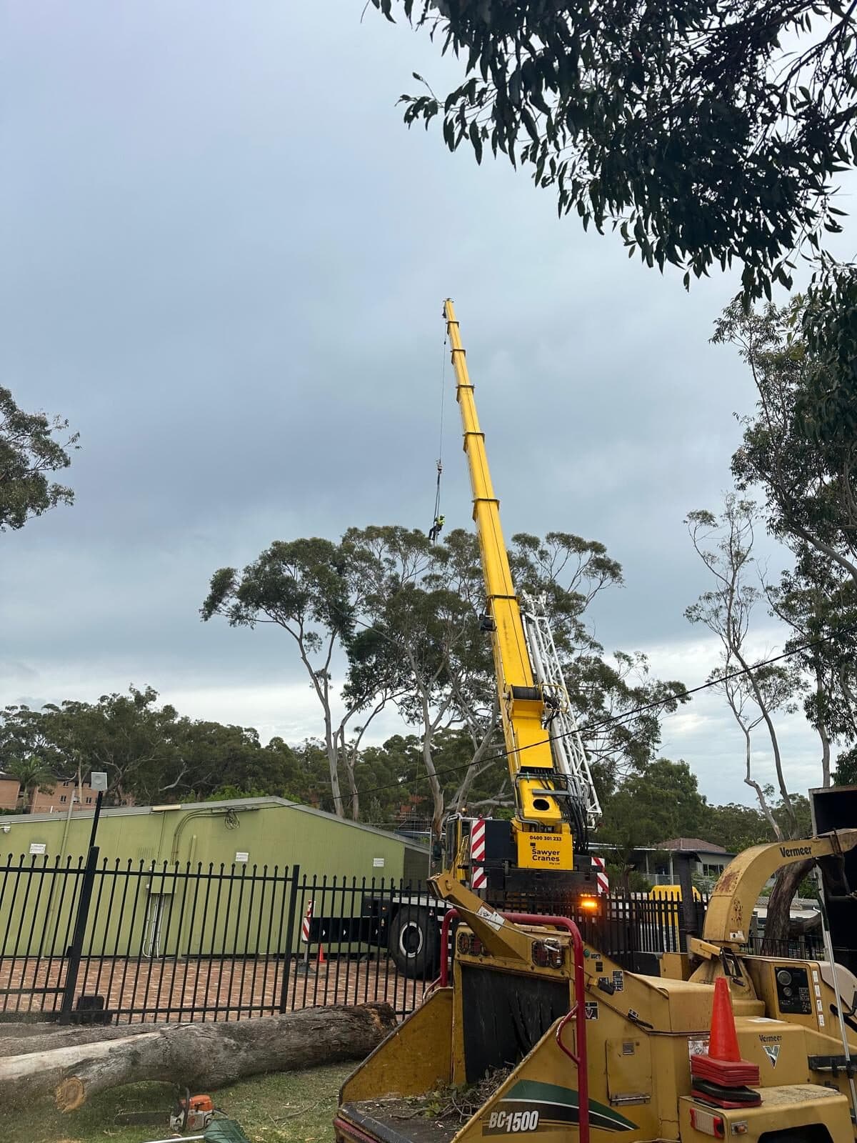 Mobile crane and wood chipper beside a residential driveway.