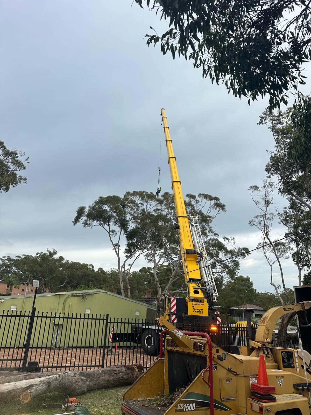 Mobile crane and wood chipper beside a paved yard in Gymea.