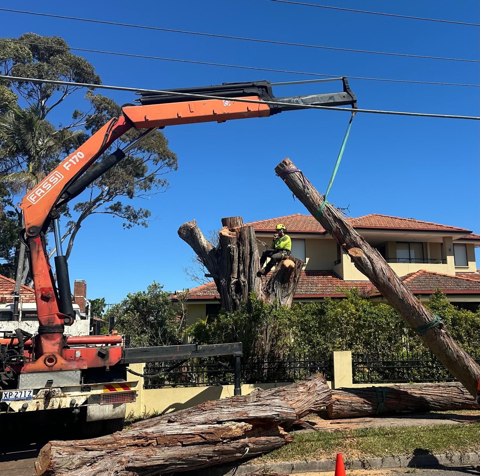 Representative Sydney tree work for properties in Colebee, Western Sydney