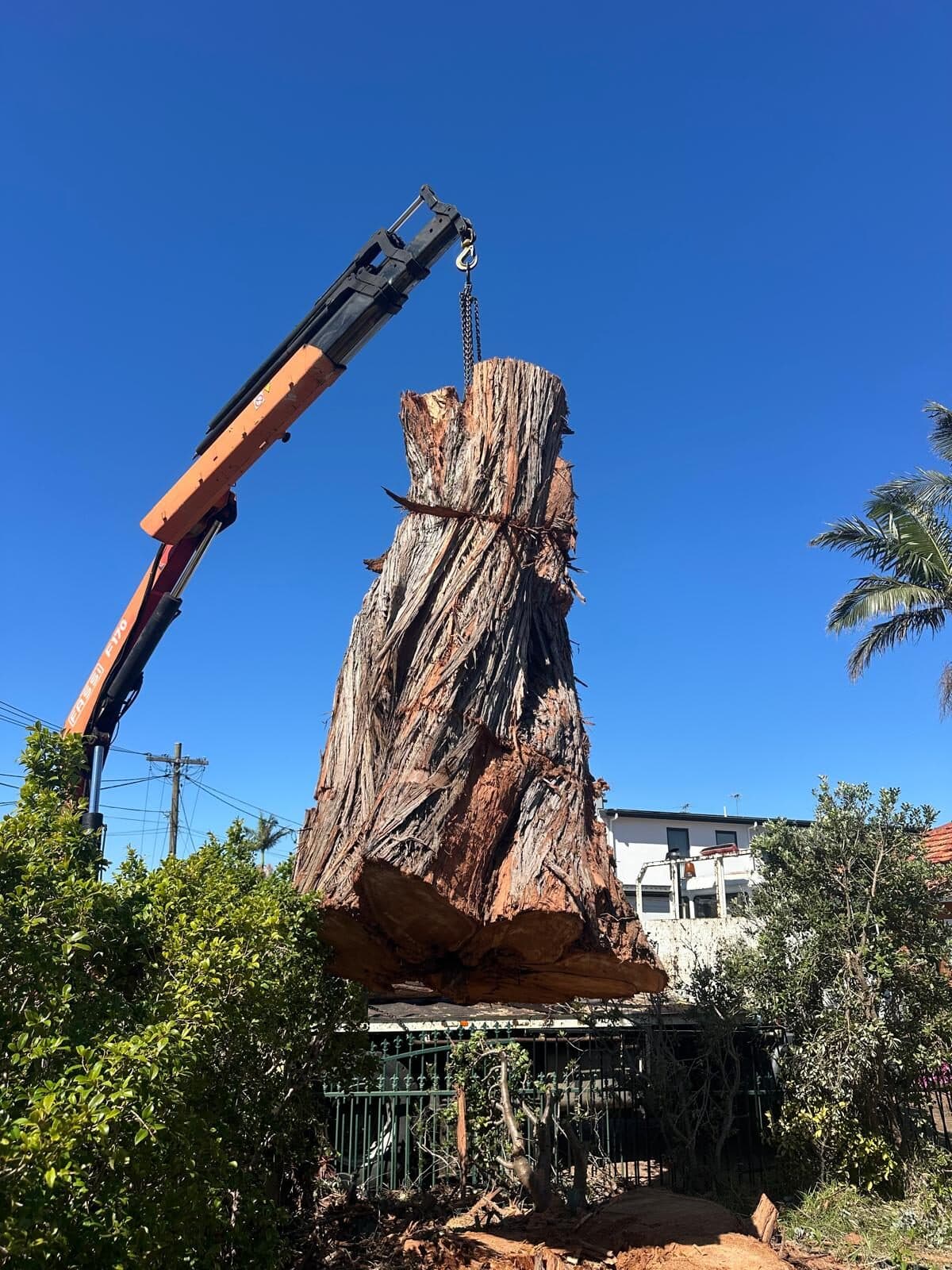 Representative Sydney tree work for properties in Middle Dural, Hills District