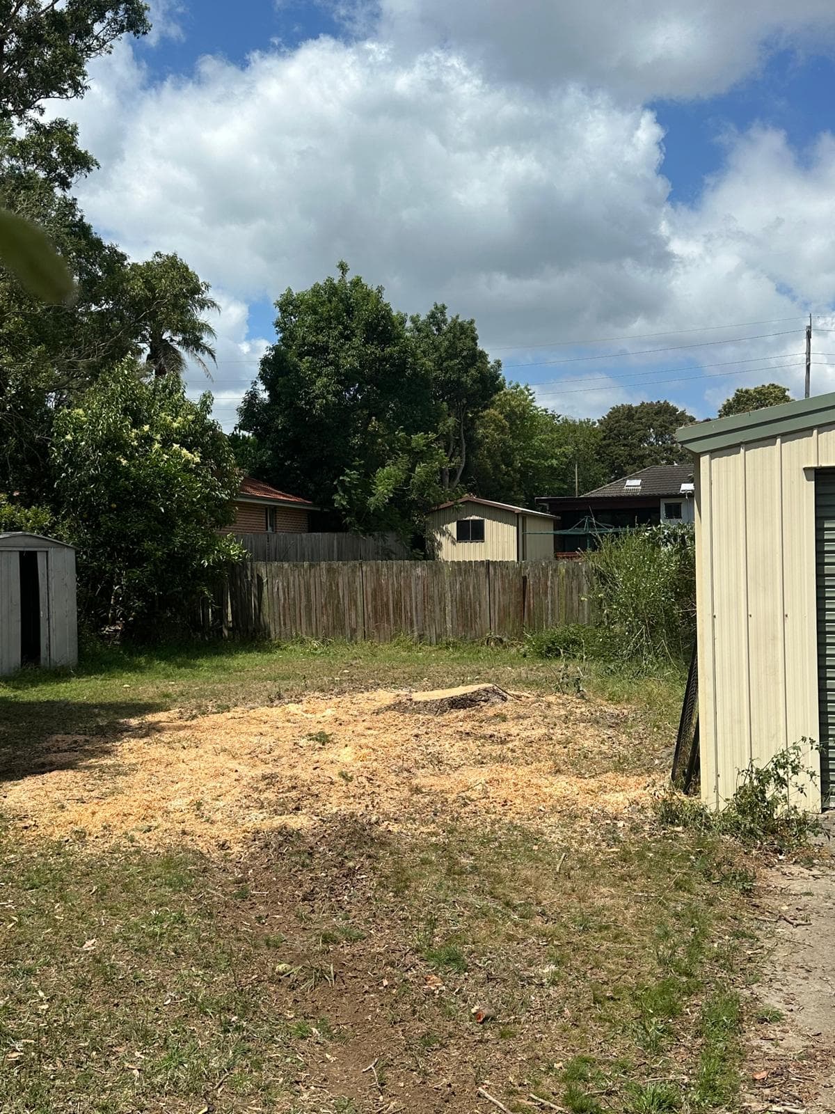 Freshly ground stump pad covered in wood-chip mulch after tree removal and stump grinding in a Sydney backyard