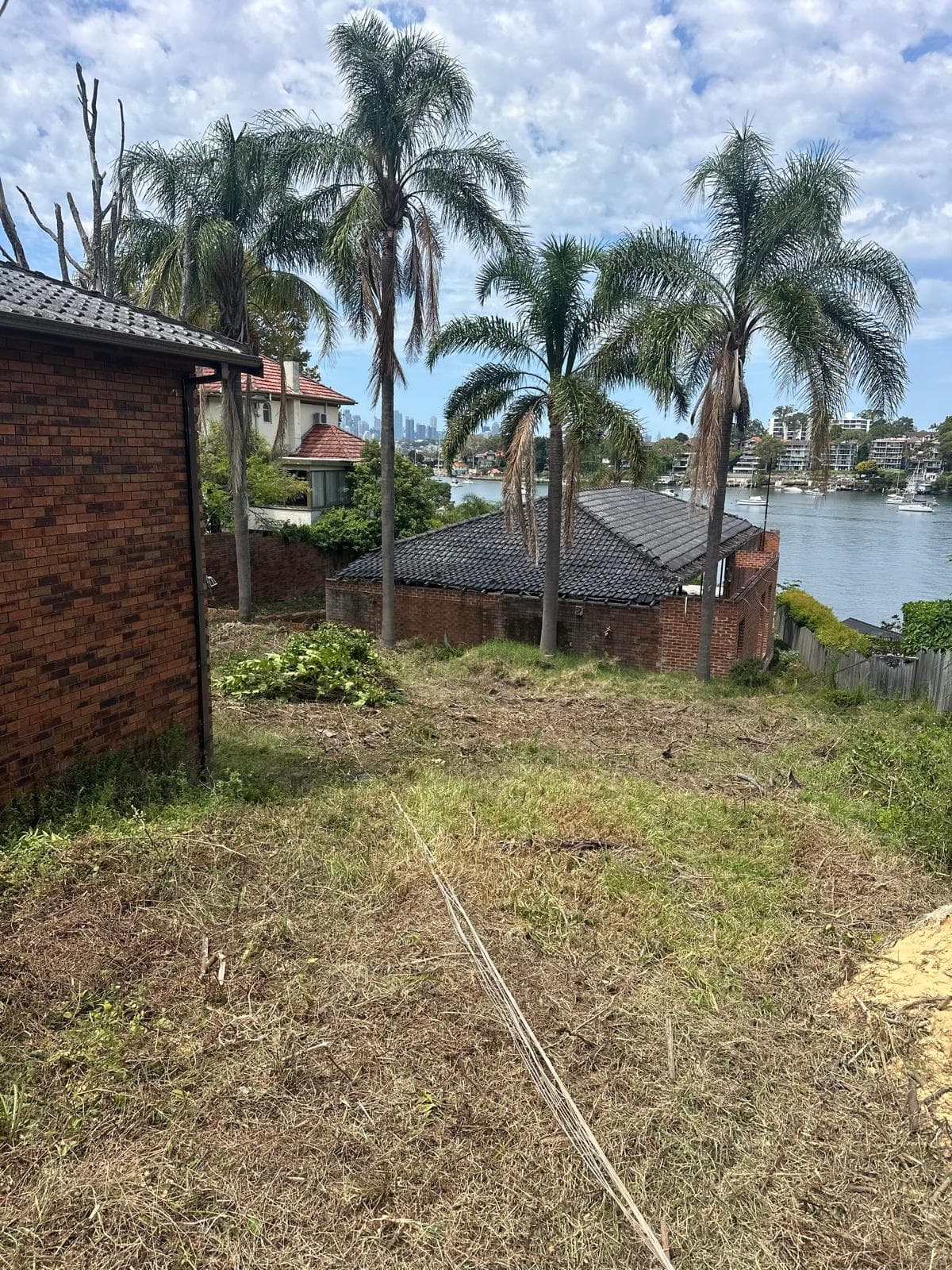 Cleared Parramatta River waterfront block with palm trees and Sydney CBD skyline in Hunters Hill after land clearing