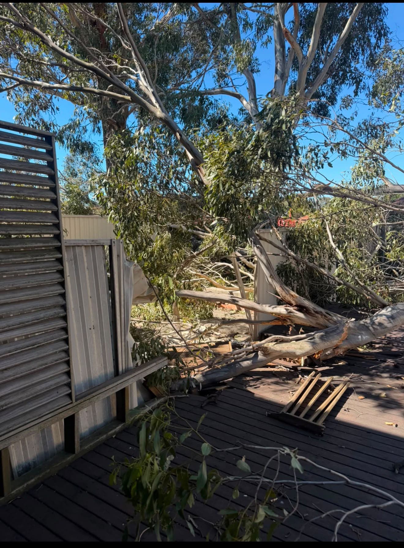 Before removal: fallen trunk and branches across a damaged fence and timber deck in Toongabbie.