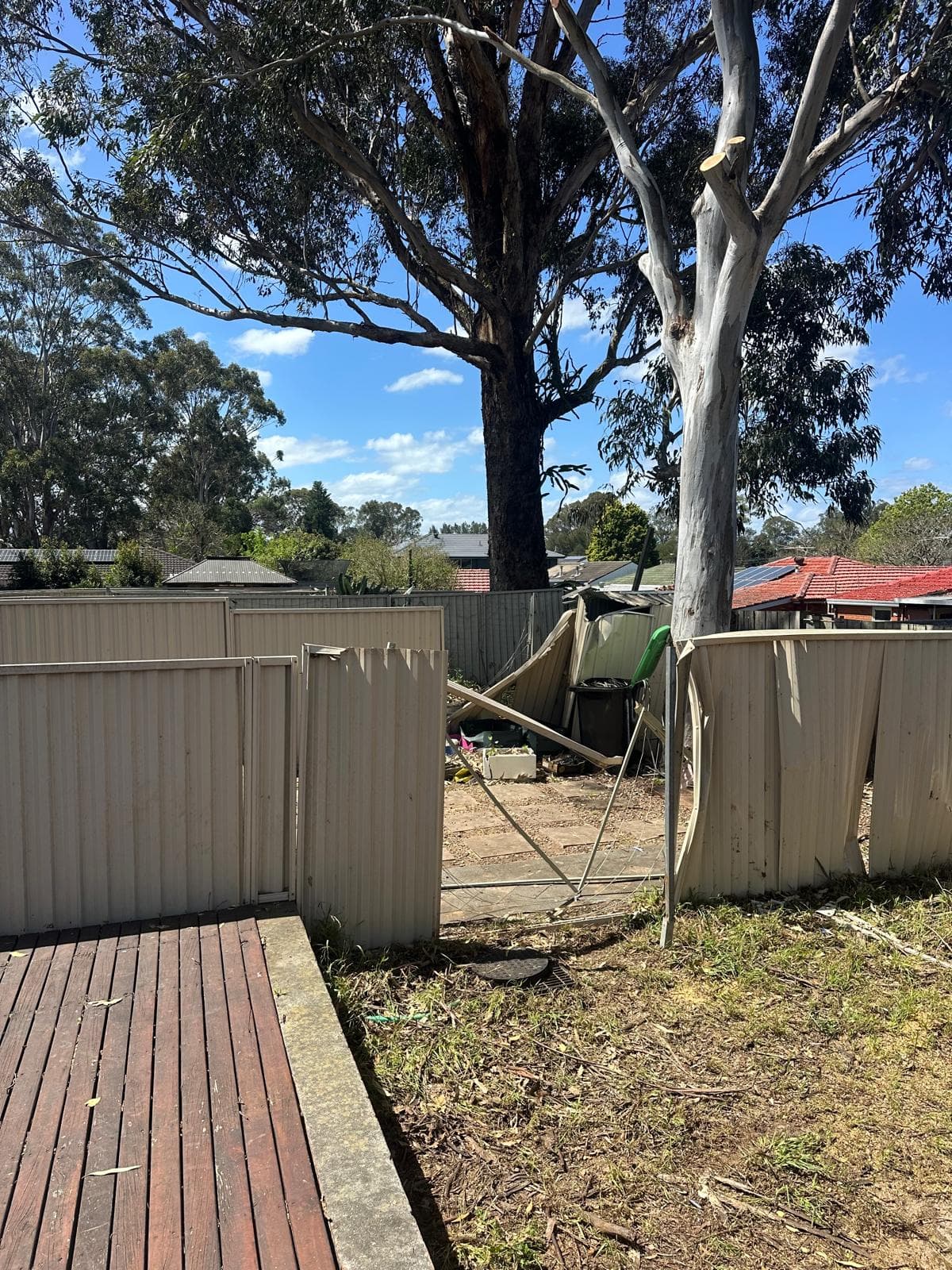 After removal: the fallen timber cleared from beside the damaged boundary fence in Toongabbie.
