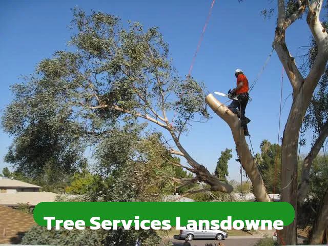 Tree Services Lansdowne