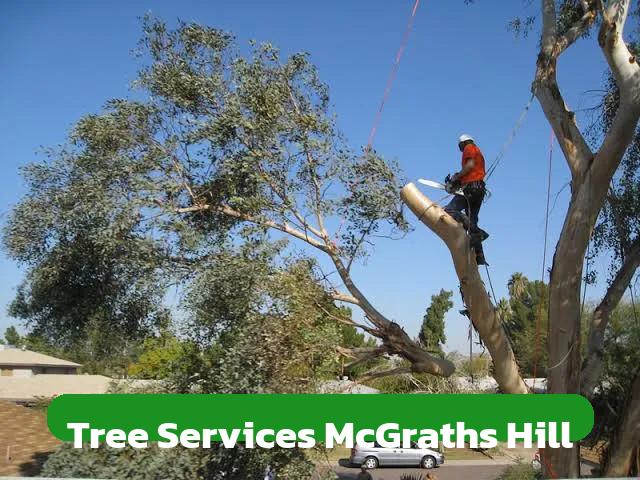 Tree Services Mcgraths Hill